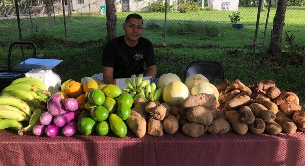 Mercado Agrícola Artesanal de la UPR Cayey discutirá la conservación de cuerpos de agua