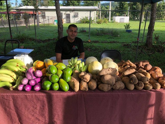Mercado Agrícola Artesanal de la UPR Cayey discutirá la conservación de cuerpos de agua Mercado Agrícola Artesanal de la UPR Cayey discutirá la conservación de cuerpos de agua
