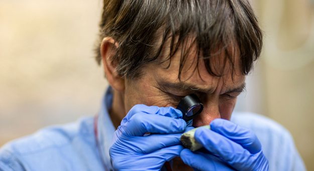 Geólogo inglés Dr. Gareth Davies Universidad de Amsterdam - Estudio de las jadeitas en el Caribe