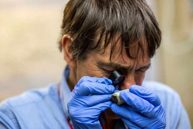 Geólogo inglés Dr. Gareth Davies Universidad de Amsterdam – Estudio de las jadeitas en el Caribe Geólogo inglés Dr. Gareth Davies Universidad de Amsterdam - Estudio de las jadeitas en el Caribe