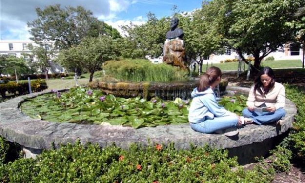 UPR Cayey Ágil el proceso de revitalización en la UPR-Cayey