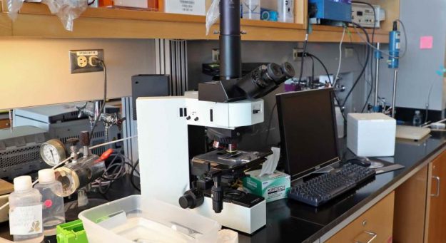 Centro de Ciencias Moleculares