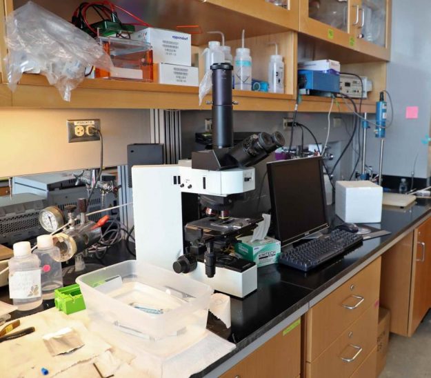 Centro de Ciencias Moleculares Centro de Ciencias Moleculares