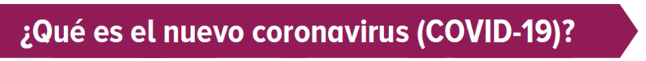 covid-01-que-es-coronavirus covid-01-que-es-coronavirus