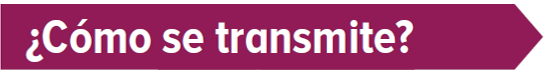 covid-02-como-se-transmite covid-02-como-se-transmite
