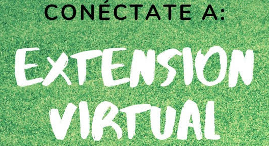 Screen Shot 2020-04-13 at 12.38.18 PM