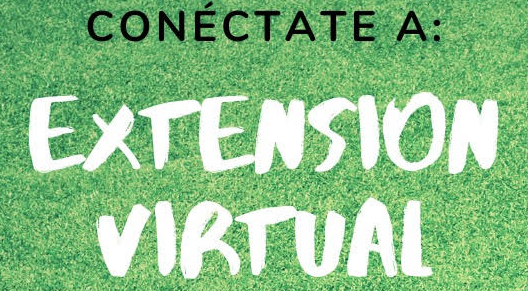 Screen Shot 2020-04-13 at 12.38.18 PM Screen Shot 2020-04-13 at 12.38.18 PM