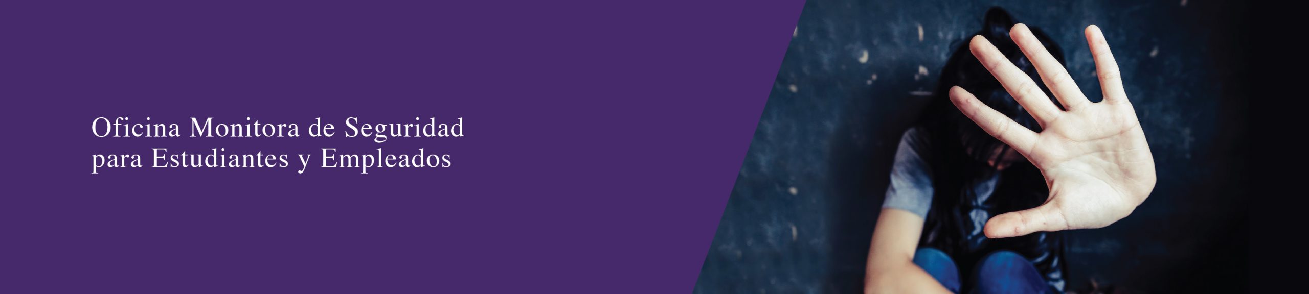 Sliders Monitora 22ABRIL2020-01