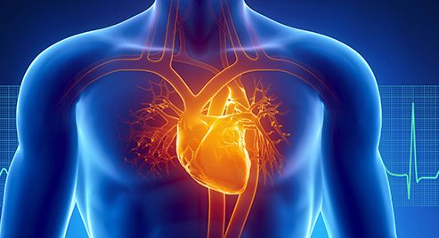 Enfermedades del corazón