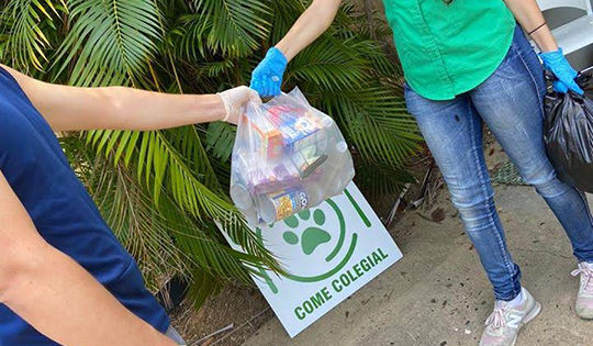 Come Colegial detalle Come Colegial detalle