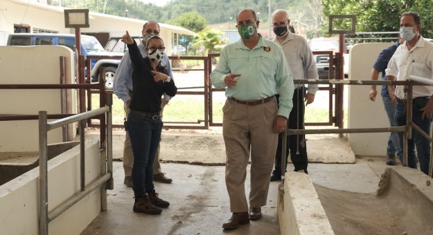 1Recinto Universitario de Mayagüez de la UPR recibe subvención de $750 mil  del Departamento de Agricultura para el desarrollo del  Centro de Investigación de Reproducción Animal Tropical