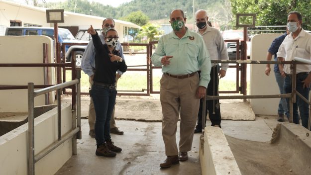 1Recinto Universitario de Mayagüez de la UPR recibe subvención de $750 mil del Departamento de Agricultura para el desarrollo del Centro de Investigación de Reproducción Animal Tropical 1Recinto Universitario de Mayagüez de la UPR recibe subvención de $750 mil del Departamento de Agricultura para el desarrollo del Centro de Investigación de Reproducción Animal Tropical