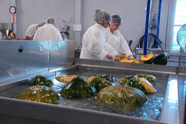 El Recinto Universitario de Mayagüez de la UPR cuenta con el primer Bachillerato en Ciencia de Alimentos en la isla El Recinto Universitario de Mayagüez de la UPR cuenta con el primer Bachillerato en Ciencia de Alimentos en la isla