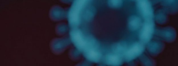 Tabla header Bachier Tabla header Bachier