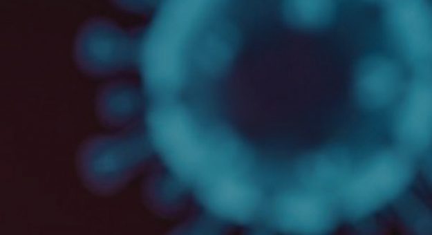 Tabla header Bachier