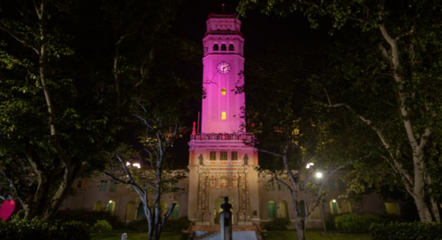 Screen Shot 2020-11-23 at 1.42.00 PM