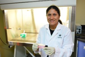 Yareni Patricia Lara Rodríguez