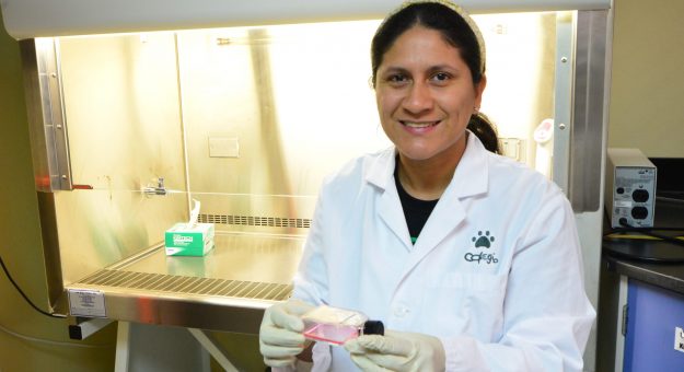 Yareni Patricia Lara Rodríguez