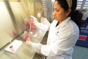 Yareni Patricia Lara Rodríguez