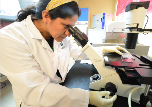 Yareni Patricia Lara Rodríguez