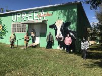estacion_experimental_gurabo1 Estación Experimental Agricola Gurabo