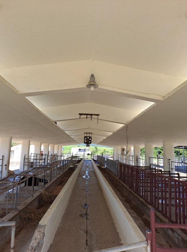 Estación Experimental Agricola Gurabo