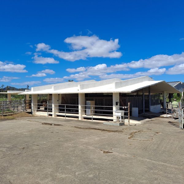 Estación Experimental Agricola Gurabo