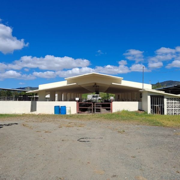 Estación Experimental Agricola Gurabo