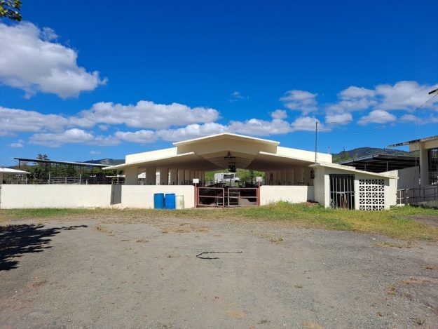 Estación Experimental Agricola Gurabo