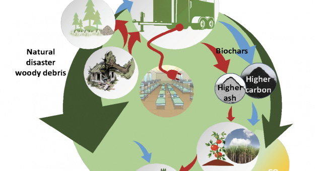 Screen Shot 2021-02-10 at 4.18.13 PM