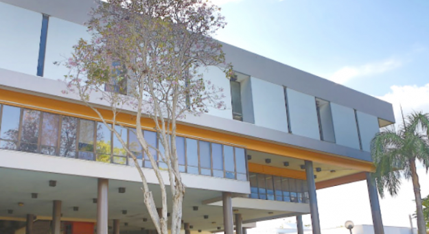 Screen Shot 2021-02-22 at 12.46.12 PM