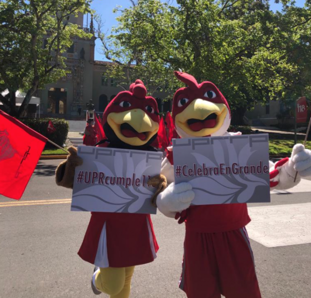 Gallito y Jerezana 2021 Gallito y Jerezana 2021