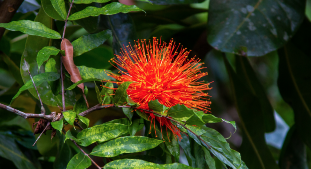 Screen Shot 2021-06-08 at 5.39.09 PM