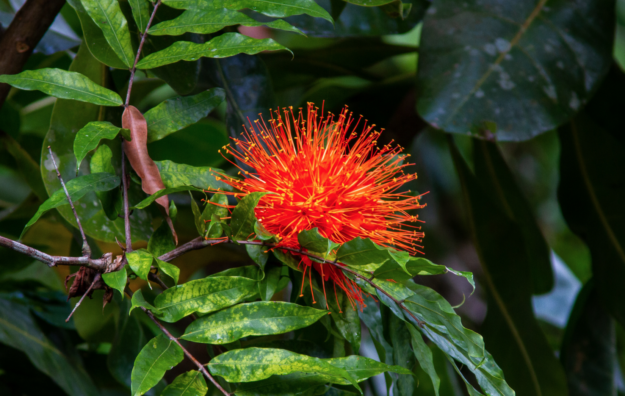 Screen Shot 2021-06-08 at 5.39.09 PM Screen Shot 2021-06-08 at 5.39.09 PM