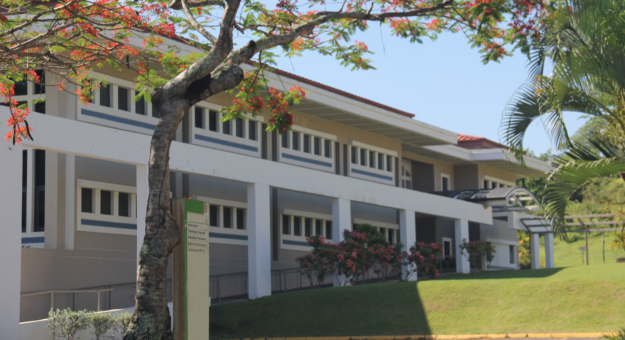 Screen Shot 2021-06-16 at 2.19.52 PM