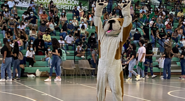 Screen Shot 2021-08-02 at 1.55.25 PM