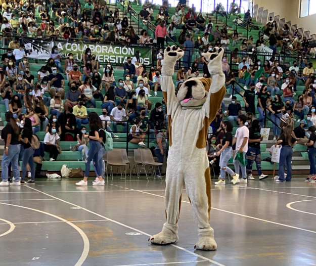 Screen Shot 2021-08-02 at 1.55.25 PM Screen Shot 2021-08-02 at 1.55.25 PM