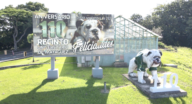 En la entrada principal del RUM, el Tarzán escultórico anuncia los 100 del Colegio