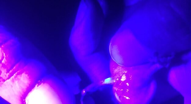 El 100% de coquíes respondió muy bien a la técnica de monitoreo a la que se sometieron.