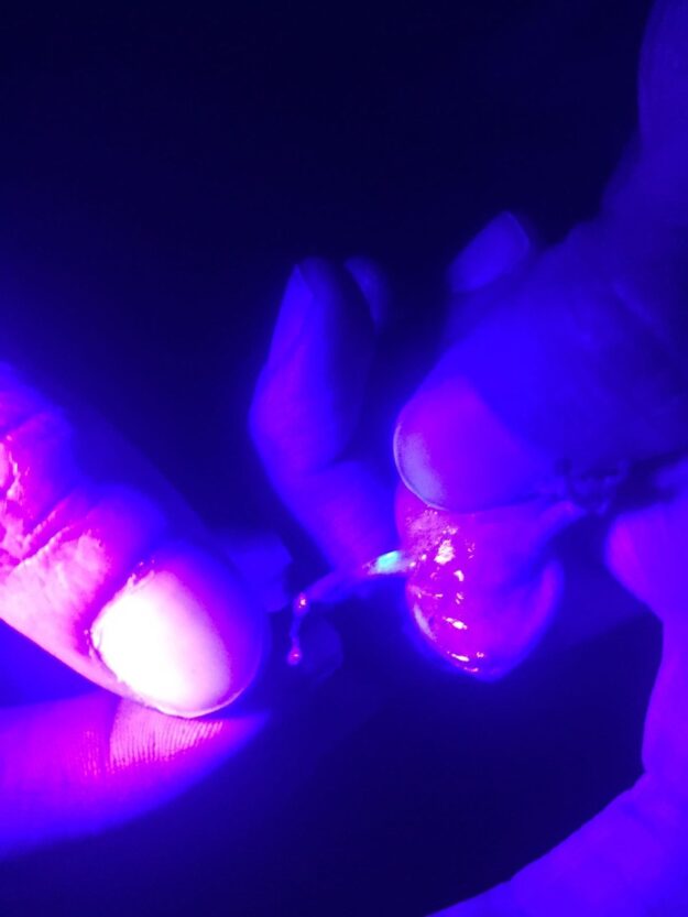 El 100% de coquíes respondió muy bien a la técnica de monitoreo a la que se sometieron. El 100% de coquíes respondió muy bien a la técnica de monitoreo a la que se sometieron.