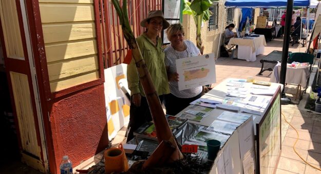 FESTIVAL NAL PLATANO 2