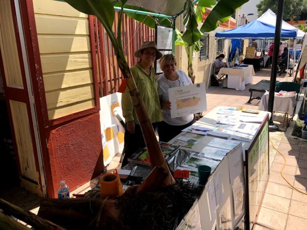 FESTIVAL NAL PLATANO 2 FESTIVAL NAL PLATANO 2