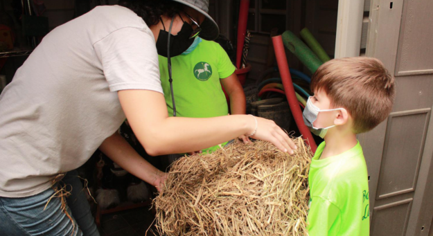 Screen Shot 2021-10-04 at 2.33.39 PM