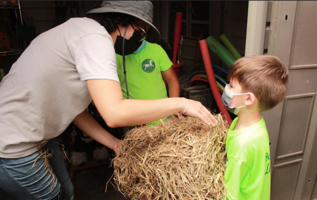 Screen Shot 2021-10-04 at 2.33.39 PM Screen Shot 2021-10-04 at 2.33.39 PM