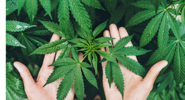 Screen Shot 2021-10-29 at 3.37.08 PM