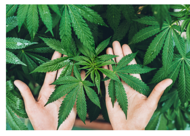 Screen Shot 2021-10-29 at 3.37.08 PM Screen Shot 2021-10-29 at 3.37.08 PM