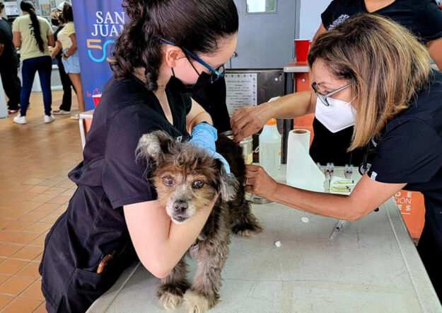 Tecnología Veterinaria Tecnología Veterinaria