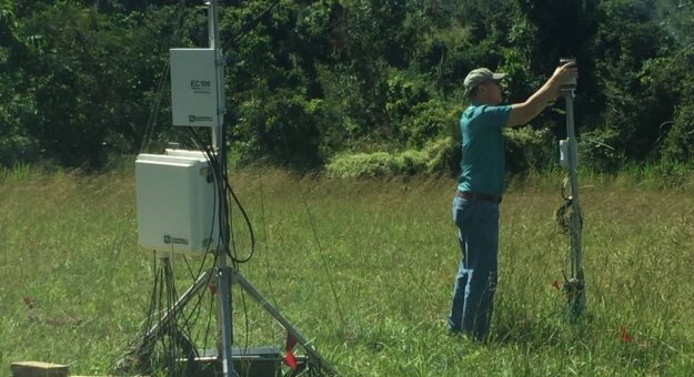 Dr. Harmsen en trabajo de campo