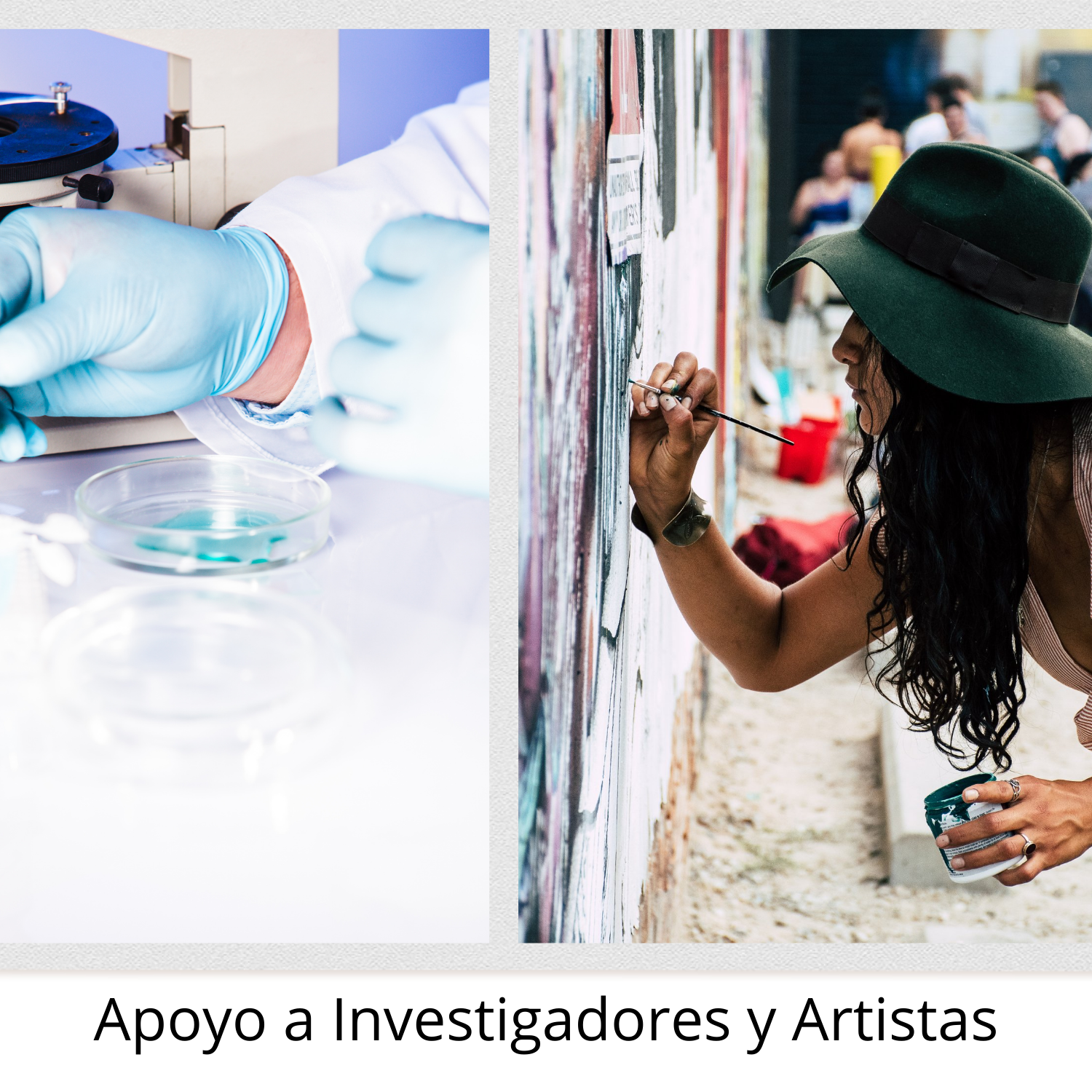Apoyo Investigación y Arte Apoyo Investigación y Arte