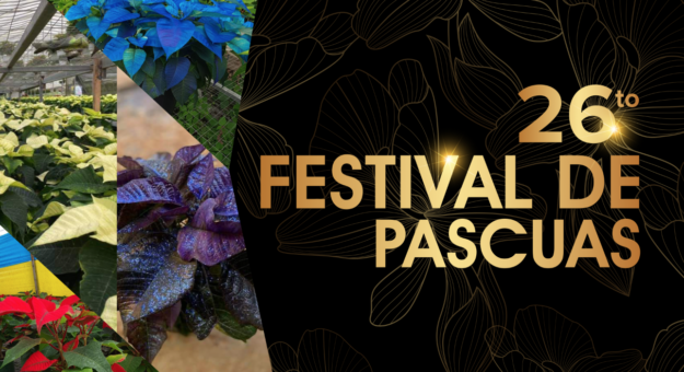 Screen Shot 2021-11-15 at 4.06.31 PM